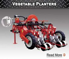 Vegetable Planters - 