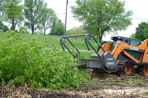 Loftness | Timber Ax | Model 63AX for sale at Kings River Tractor Inc.