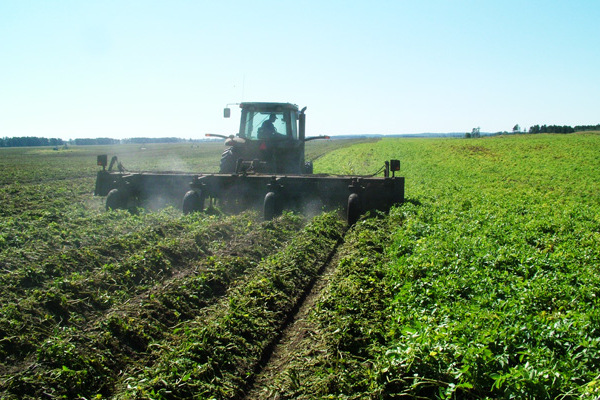 Loftness | Vegetable | Vegetable 12/24 Shredder for sale at Kings River Tractor Inc.